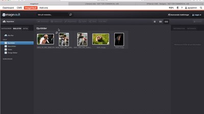 Byt version på bild i Imagevault.mp4
